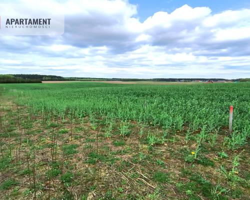 Piękna działka przy samym lesie !!!