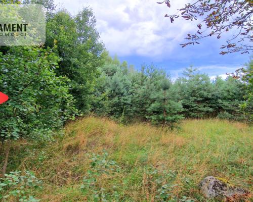 Tylko u Nas! Działka 800 metrów od jeziora! Tleń!