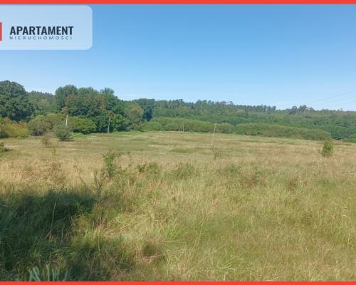 Działki  w sąsiedztwie rzeki