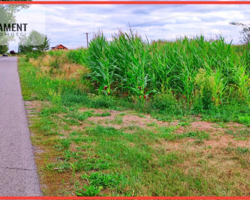 Urocza działka niedaleko Złotnik Kujawskich!