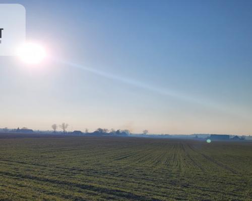 Urocza działka niedaleko Złotnik Kujawskich!
