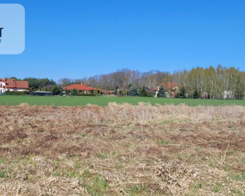 Urocza działka niedaleko Złotnik Kujawskich!