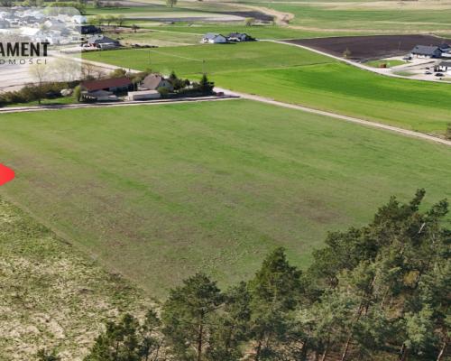 Działka z WZ ze ścianą lasu