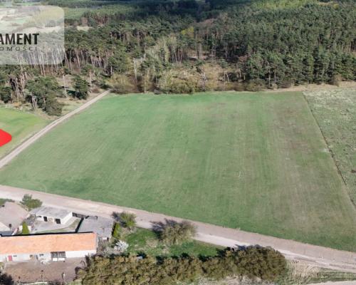 Działka z WZ ze ścianą lasu