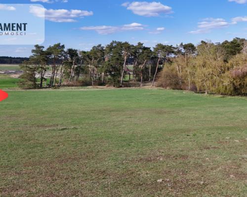 Działka z WZ ze ścianą lasu