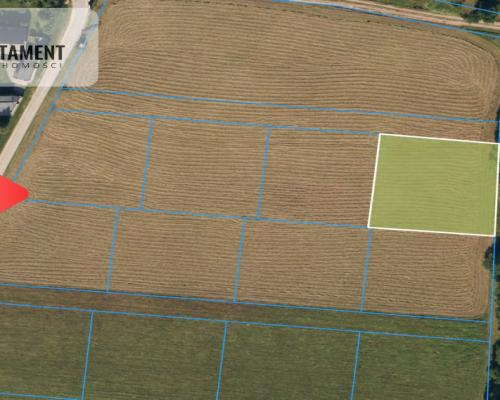 Działka z WZ ze ścianą lasu