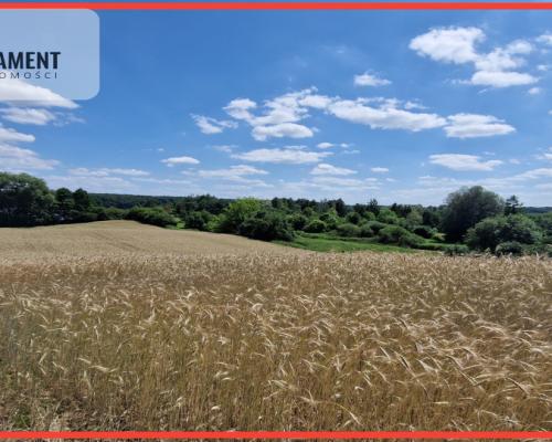 Duża działka nad jeziorem Ostrówieckim.