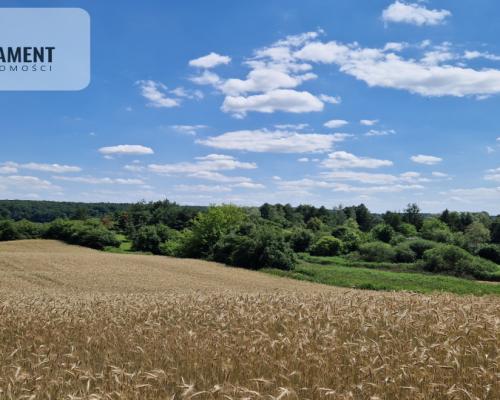 Duża działka nad jeziorem Ostrówieckim.