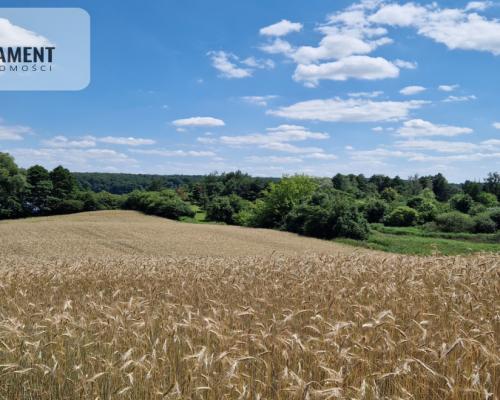 Duża działka nad jeziorem Ostrówieckim.