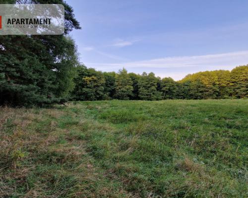 Duża działka przy lesie bez sąsiedztwa