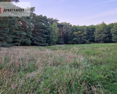 Duża działka przy lesie bez sąsiedztwa