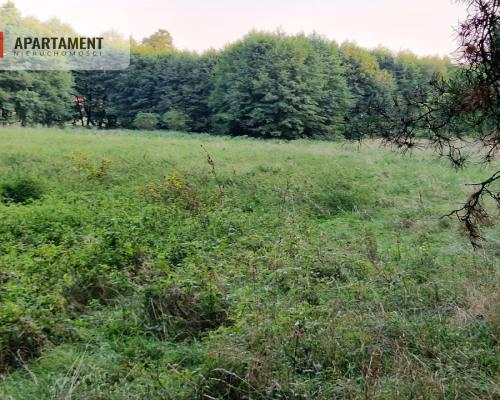 Duża działka przy lesie bez sąsiedztwa