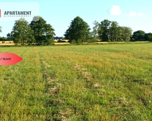 Mochle 1000m2 działka z WZ media