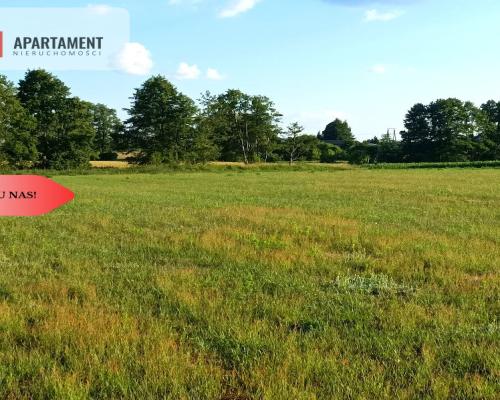 Mochle 1000m2 działka z WZ media