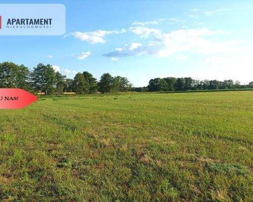 Mochle 1000m2 działka z WZ media