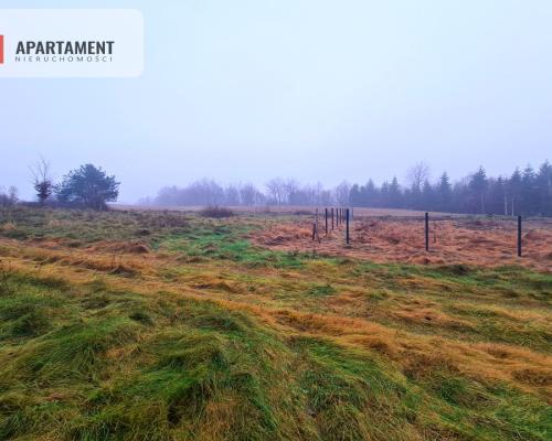 OKAZJA! Działki w Cichej i Spokojnej Okolicy!!