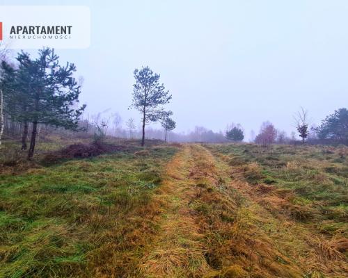 OKAZJA! Działki w Cichej i Spokojnej Okolicy!!