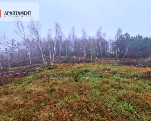 OKAZJA! Działki w Cichej i Spokojnej Okolicy!!