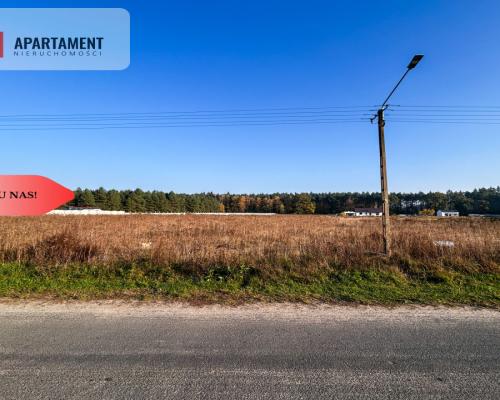 Tylko u nas! Działki 1006-1169m² WZ przy lesie