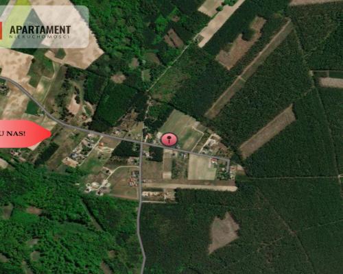 Tylko u nas! Działki 1006-1169m² WZ przy lesie