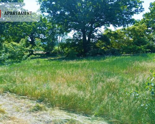 TYLKO U NAS !!!ATRAKCYJNA DZIAŁKA P/S/U