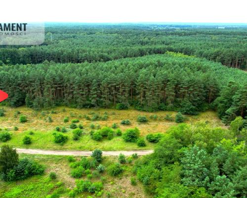 Cegielnik działka 1356m2 ze ścianą lasu