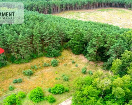 Cegielnik działka 1356m2 ze ścianą lasu