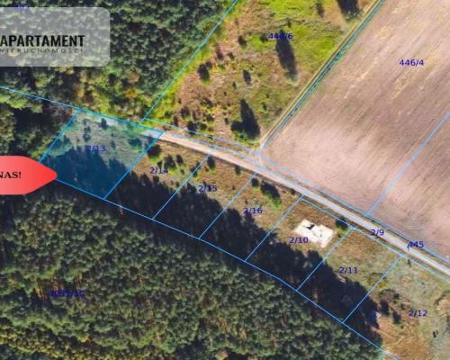 Cegielnik działka 1356m2 ze ścianą lasu