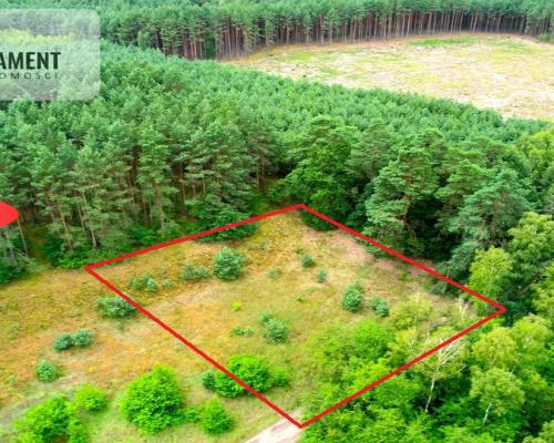 Cegielnik działka 1356m2 ze ścianą lasu