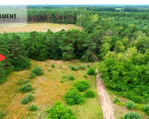Cegielnik działka 1356m2 ze ścianą lasu