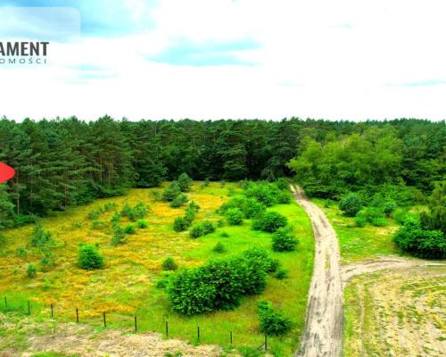 Cegielnik działka 1356m2 ze ścianą lasu