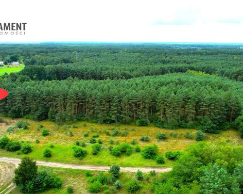 Cegielnik działka 1356m2 ze ścianą lasu
