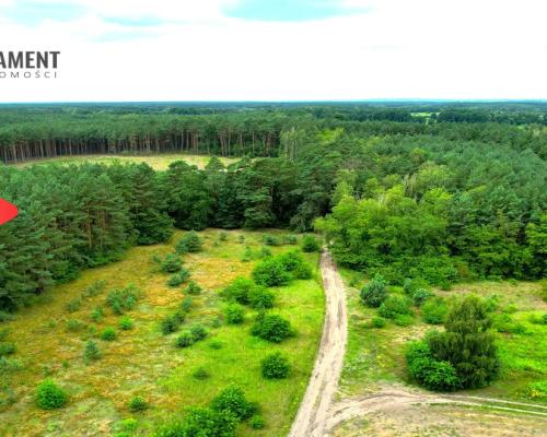 Cegielnik działka 1356m2 ze ścianą lasu