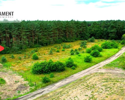 Cegielnik działka 1356m2 ze ścianą lasu