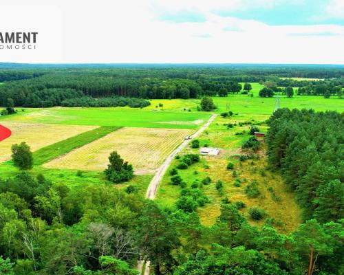 Cegielnik działka 1356m2 ze ścianą lasu