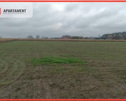 Działka z dala od zgiełku miasta