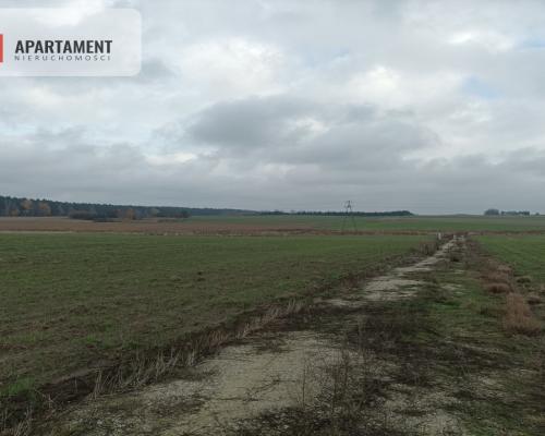 Działka z dala od zgiełku miasta