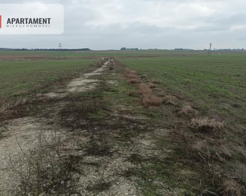 Działka z dala od zgiełku miasta