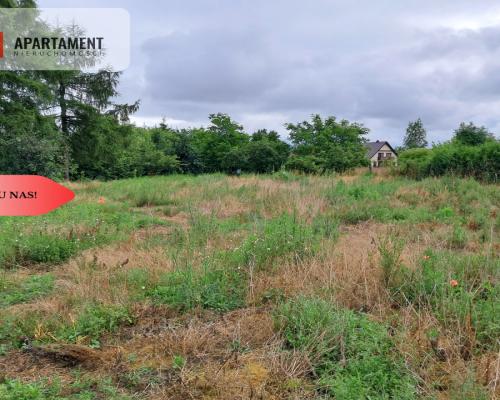Działka z budynkiem gospodarczym/mieszkalnym