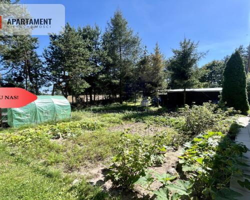 Urokliwa Działka 3500 m² przy Lesie, ogrodzona