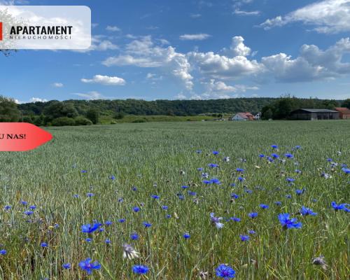 4 działki Budowlane obok siebie Pogorzała Wieś