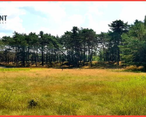 Działki z MPZP - 10 min od Bydgoszczy!