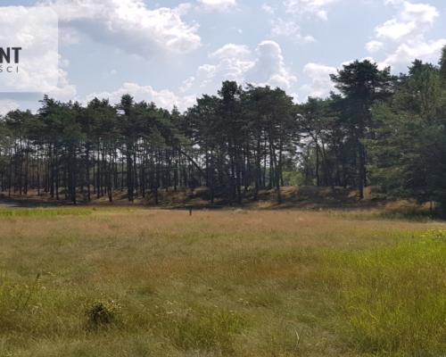 Działki z MPZP - 10 min od Bydgoszczy!