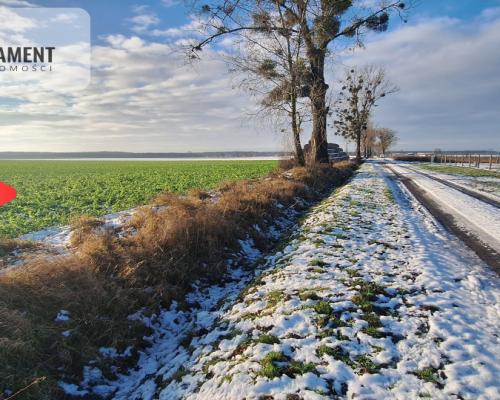 Kompleks 8 działek budowlanych + 110a ziemi