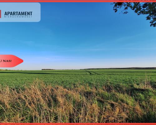 Kompleks 8 działek budowlanych + 110a ziemi