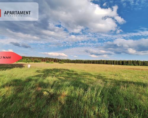OKAZJA! Tania działka budowlana blisko Piły!