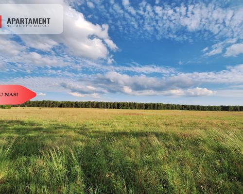 OKAZJA! Tania działka budowlana blisko Piły!