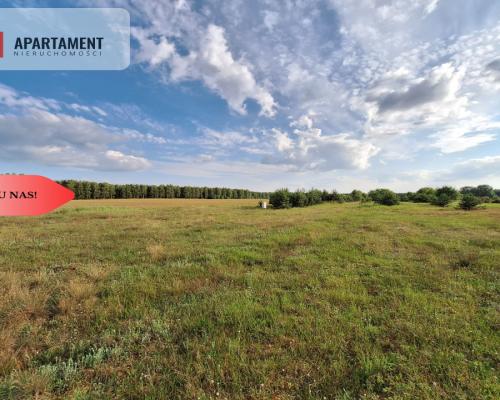 OKAZJA! Tania działka budowlana blisko Piły!