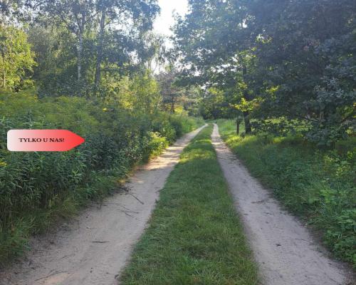 Działka 10 ar budowlana przy ścianie lasu!