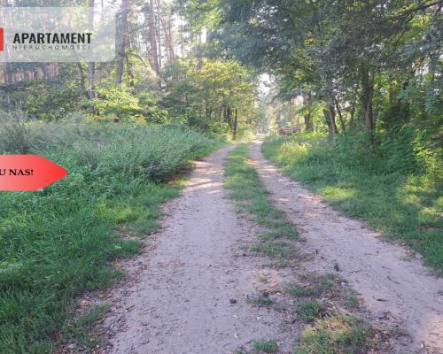 Działka 10 ar budowlana przy ścianie lasu!